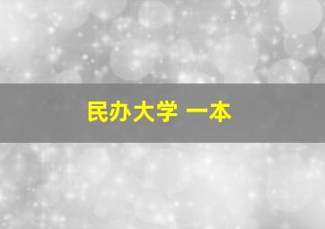 民办大学 一本